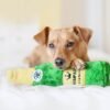 ZippyPaws Happy Hour Crusherz Champagne Ontkurk de champagne maar! Want met deze ZippyPaws Happy Hour Crusherz Champagne maak je het feestje van jouw hond compleet! Honden zijn dol op het krakende geluid van een plastic fles! In elke Happy Hour Crusherz zit een fles, met een piepende dop! Vervang je de plastic fles (bijvoorbeeld door een leeg drinkflesje), dan kun je de dop hergebruiken om elke waterfles piepend te maken. Liever wat stiller speelplezier? Dan kun je uiteraard een andere dop gebruiken!  Waterfles met piepende dop inbegrepen Formaat ZippyPaws Happy Hour Crusherz Champagne: 28 x 7.5cm ZippyPaws Hondenspeelgoed Hondenspeeltjes van het merk ZippyPaws staan garant voor de allerleukste designs en zijn goed voor urenlang speelplezier. De hondenspeeltjes van ZippyPaws zijn ontworpen door hondenmensen voor honden. En dat zie je aan alles. ZippyPaws Burrows De Zippypaws Burrows zijn zoekspellen voor de hond. In iedere Burrow zitten 3 piepbeestjes verstopt. Speciaal voor honden die niet enthousiast worden van hersenwerkjes met voer zijn de Burrows perfect. Want de beloning is geen voer, maar een klein piepspeeltje. Je kunt de speeltjes zo vaak terug stoppen als je wilt, zodat jouw hond weer op zoek kan! Alle delen van de Zippy Burrows zijn gemaakt van hoogwaardig pluche stof. Daardoor is het niet alleen geschikt als interactief speeltje, maar kan het ook gebruikt worden als knuffelspeeltje. Alle speeltjes in de Burrows bevatten een ronde pieper om je hond extra enthousiast te maken. Interactief hondenspeelgoed bestellen Alle honden hebben speelgoed nodig. Het geeft zowel een mentale- als lichamelijke uitdaging voor je hond! Interactief hondenspeelgoed is niet alleen belangrijk om je hond tevreden te houden en verveling te voorkomen. Het is ook nuttig om problematisch gedrag aan te pakken, zoals destructief kauwen of hinderlijk blaffen. Zippypaws Burrows De Zippypaws Burrows zijn zoekspellen voor de hond. In iedere Burrow zitten 3 piepbeestjes verstopt. Speciaal voor honden die niet enthousiast worden van hersenwerkjes met voer zijn de Burrows perfect. Want de beloning is geen voer, maar een klein piepspeeltje. Je kunt de speeltjes zo vaak terug stoppen als je wilt, zodat jouw hond weer op zoek kan! Alle delen van de Zippy Burrows zijn gemaakt van hoogwaardig pluche stof. Alle speeltjes in de Burrows bevatten een ronde pieper om je hond extra enthousiast te maken. Doordat zowel de Burrow als de speeltjes in de Burrow van pluche zijn gemaakt is het niet alleen geschikt als interactiefspeeltje, maar kan het ook gebruikt worden als knuffelspeeltje. ZippyPaws Donutz Het populairste speeltje van Zippypaws is de Donut. Al in 2017 werd de miljardste donut verkocht. Voor de hond zijn de donut speeltjes helemaal geweldig. Er zitten 2 half ronde piepers in, waardoor het niet uitmaakt waar je in de donut bijt. Piepen doet de Zippypaws Donut altijd! De Donutz bevatten verder geen zachte pluche vulling. Ideaal voor honden die het normaal altijd laten sneeuwen in huis. Bekend van Instagram Als jij honden volgt via Instagram, dan kan het niet missen dat je de ZippyPaws hondenspeeltjes wel eens voorbij hebt zien komen. Niet zo gek want de grappige en interactieve speeltjes zijn perfect voor een geweldige foto samen met jouw hond. Vergeet je A Lot for Doodles niet te taggen op Instagram? ZippyPaws Nederland ZippyPaws hondenspeelgoed komt uit Amerika. Sinds een aantal jaren zijn de speeltjes ook in Nederland verkrijgbaar. Wij van A Lot for Doodles zijn trots dat we ZippyPaws verkopen in onze webshop. Bezoek onze shop en ontdek alle leuke speeltjes van ZippyPaws! ZippyPaws online bestellen De ZippyPaws hondenspeeltjes zijn bij ons online te bestellen. Naast de leuke speeltjes van ZippyPaws kun je ook bij ons terecht voor de merken Huxley & Kent, PawStory, HugSmart, Sodapup, Soos Pets, Cowboy Magic, Bass Brushes, P.L.A.Y., Yakka's & Carniwell. Heb je advies nodig? Neem gerust contact met ons op. We helpen je graag!