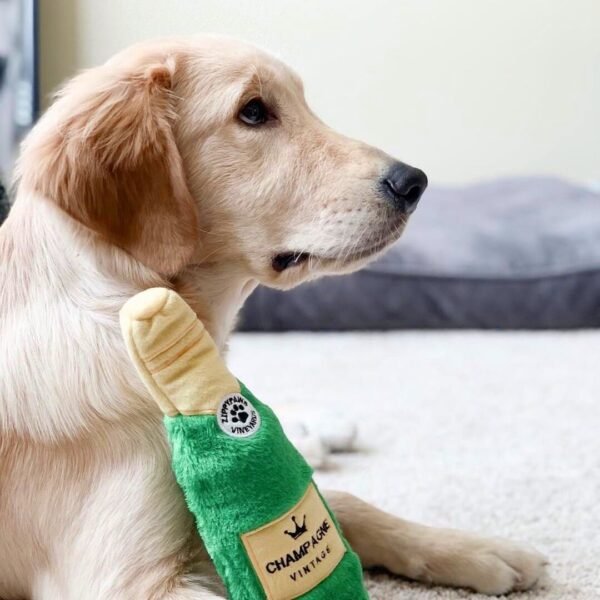 ZippyPaws Happy Hour Crusherz Champagne Ontkurk de champagne maar! Want met deze ZippyPaws Happy Hour Crusherz Champagne maak je het feestje van jouw hond compleet! Honden zijn dol op het krakende geluid van een plastic fles! In elke Happy Hour Crusherz zit een fles, met een piepende dop! Vervang je de plastic fles (bijvoorbeeld door een leeg drinkflesje), dan kun je de dop hergebruiken om elke waterfles piepend te maken. Liever wat stiller speelplezier? Dan kun je uiteraard een andere dop gebruiken!  Waterfles met piepende dop inbegrepen Formaat ZippyPaws Happy Hour Crusherz Champagne: 28 x 7.5cm ZippyPaws Hondenspeelgoed Hondenspeeltjes van het merk ZippyPaws staan garant voor de allerleukste designs en zijn goed voor urenlang speelplezier. De hondenspeeltjes van ZippyPaws zijn ontworpen door hondenmensen voor honden. En dat zie je aan alles. ZippyPaws Burrows De Zippypaws Burrows zijn zoekspellen voor de hond. In iedere Burrow zitten 3 piepbeestjes verstopt. Speciaal voor honden die niet enthousiast worden van hersenwerkjes met voer zijn de Burrows perfect. Want de beloning is geen voer, maar een klein piepspeeltje. Je kunt de speeltjes zo vaak terug stoppen als je wilt, zodat jouw hond weer op zoek kan! Alle delen van de Zippy Burrows zijn gemaakt van hoogwaardig pluche stof. Daardoor is het niet alleen geschikt als interactief speeltje, maar kan het ook gebruikt worden als knuffelspeeltje. Alle speeltjes in de Burrows bevatten een ronde pieper om je hond extra enthousiast te maken. Interactief hondenspeelgoed bestellen Alle honden hebben speelgoed nodig. Het geeft zowel een mentale- als lichamelijke uitdaging voor je hond! Interactief hondenspeelgoed is niet alleen belangrijk om je hond tevreden te houden en verveling te voorkomen. Het is ook nuttig om problematisch gedrag aan te pakken, zoals destructief kauwen of hinderlijk blaffen. Zippypaws Burrows De Zippypaws Burrows zijn zoekspellen voor de hond. In iedere Burrow zitten 3 piepbeestjes verstopt. Speciaal voor honden die niet enthousiast worden van hersenwerkjes met voer zijn de Burrows perfect. Want de beloning is geen voer, maar een klein piepspeeltje. Je kunt de speeltjes zo vaak terug stoppen als je wilt, zodat jouw hond weer op zoek kan! Alle delen van de Zippy Burrows zijn gemaakt van hoogwaardig pluche stof. Alle speeltjes in de Burrows bevatten een ronde pieper om je hond extra enthousiast te maken. Doordat zowel de Burrow als de speeltjes in de Burrow van pluche zijn gemaakt is het niet alleen geschikt als interactiefspeeltje, maar kan het ook gebruikt worden als knuffelspeeltje. ZippyPaws Donutz Het populairste speeltje van Zippypaws is de Donut. Al in 2017 werd de miljardste donut verkocht. Voor de hond zijn de donut speeltjes helemaal geweldig. Er zitten 2 half ronde piepers in, waardoor het niet uitmaakt waar je in de donut bijt. Piepen doet de Zippypaws Donut altijd! De Donutz bevatten verder geen zachte pluche vulling. Ideaal voor honden die het normaal altijd laten sneeuwen in huis. Bekend van Instagram Als jij honden volgt via Instagram, dan kan het niet missen dat je de ZippyPaws hondenspeeltjes wel eens voorbij hebt zien komen. Niet zo gek want de grappige en interactieve speeltjes zijn perfect voor een geweldige foto samen met jouw hond. Vergeet je A Lot for Doodles niet te taggen op Instagram? ZippyPaws Nederland ZippyPaws hondenspeelgoed komt uit Amerika. Sinds een aantal jaren zijn de speeltjes ook in Nederland verkrijgbaar. Wij van A Lot for Doodles zijn trots dat we ZippyPaws verkopen in onze webshop. Bezoek onze shop en ontdek alle leuke speeltjes van ZippyPaws! ZippyPaws online bestellen De ZippyPaws hondenspeeltjes zijn bij ons online te bestellen. Naast de leuke speeltjes van ZippyPaws kun je ook bij ons terecht voor de merken Huxley & Kent, PawStory, HugSmart, Sodapup, Soos Pets, Cowboy Magic, Bass Brushes, P.L.A.Y., Yakka's & Carniwell. Heb je advies nodig? Neem gerust contact met ons op. We helpen je graag!