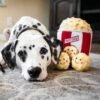 ZippyPaws Zippy Burrow Popcorn Bucket Deze interactieve Popcorn Bucket zet jouw hond mentaal aan het werk. De popcorn in de ZippyPaws Zippy Burrow Popcorn Bucket zijn ideale verstopspeeltjes om je hond lekker bezig te houden. Je voorkomt verveling en zorgt voor mentale uitdaging. De ZippyPaws Zippy Burrow Popcorn Bucket wordt samen met 3 popcornballetjes geleverd. Formaat: 21 x 15 x 15 cm Let op: Er is geen enkel hondenspeelgoed in de wereld wat niet kapot kan. Ondanks de algehele stevigheid van het speelgoed, zou het kapot kunnen gaan. Op hondenspeelgoed zit geen garantie. Kies dus het juiste soort speeltje voor jouw hond zijn kauw- en speelbehoefte. Haal kapotte speeltjes meteen weg en laat jouw hond alleen spelen onder toezicht. ZippyPaws Hondenspeelgoed Hondenspeeltjes van het merk ZippyPaws staan garant voor de allerleukste designs en zijn goed voor urenlang speelplezier. De hondenspeeltjes van ZippyPaws zijn ontworpen door hondenmensen voor honden. En dat zie je aan alles. ZippyPaws Burrows De Zippypaws Burrows zijn zoekspellen voor de hond. In iedere Burrow zitten 3 piepbeestjes verstopt. Speciaal voor honden die niet enthousiast worden van hersenwerkjes met voer zijn de Burrows perfect. Want de beloning is geen voer, maar een klein piepspeeltje. Je kunt de speeltjes zo vaak terug stoppen als je wilt, zodat jouw hond weer op zoek kan! Alle delen van de Zippy Burrows zijn gemaakt van hoogwaardig pluche stof. Daardoor is het niet alleen geschikt als interactief speeltje, maar kan het ook gebruikt worden als knuffelspeeltje. Alle speeltjes in de Burrows bevatten een ronde pieper om je hond extra enthousiast te maken. Interactief hondenspeelgoed bestellen Alle honden hebben speelgoed nodig. Het geeft zowel een mentale- als lichamelijke uitdaging voor je hond! Interactief hondenspeelgoed is niet alleen belangrijk om je hond tevreden te houden en verveling te voorkomen. Het is ook nuttig om problematisch gedrag aan te pakken, zoals destructief kauwen of hinderlijk blaffen. Zippypaws Burrows De Zippypaws Burrows zijn zoekspellen voor de hond. In iedere Burrow zitten 3 piepbeestjes verstopt. Speciaal voor honden die niet enthousiast worden van hersenwerkjes met voer zijn de Burrows perfect. Want de beloning is geen voer, maar een klein piepspeeltje. Je kunt de speeltjes zo vaak terug stoppen als je wilt, zodat jouw hond weer op zoek kan! Alle delen van de Zippy Burrows zijn gemaakt van hoogwaardig pluche stof. Alle speeltjes in de Burrows bevatten een ronde pieper om je hond extra enthousiast te maken. Doordat zowel de Burrow als de speeltjes in de Burrow van pluche zijn gemaakt is het niet alleen geschikt als interactiefspeeltje, maar kan het ook gebruikt worden als knuffelspeeltje. ZippyPaws Donutz Het populairste speeltje van Zippypaws is de Donut. Al in 2017 werd de miljardste donut verkocht. Voor de hond zijn de donut speeltjes helemaal geweldig. Er zitten 2 half ronde piepers in, waardoor het niet uitmaakt waar je in de donut bijt. Piepen doet de Zippypaws Donut altijd! De Donutz bevatten verder geen zachte pluche vulling. Ideaal voor honden die het normaal altijd laten sneeuwen in huis. Bekend van Instagram Als jij honden volgt via Instagram, dan kan het niet missen dat je de ZippyPaws hondenspeeltjes wel eens voorbij hebt zien komen. Niet zo gek want de grappige en interactieve speeltjes zijn perfect voor een geweldige foto samen met jouw hond. Vergeet je A Lot for Doodles niet te taggen op Instagram? ZippyPaws Nederland ZippyPaws hondenspeelgoed komt uit Amerika. Sinds een aantal jaren zijn de speeltjes ook in Nederland verkrijgbaar. Wij van A Lot for Doodles zijn trots dat we ZippyPaws verkopen in onze webshop. Bezoek onze shop en ontdek alle leuke speeltjes van ZippyPaws! ZippyPaws online bestellen De ZippyPaws hondenspeeltjes zijn bij ons online te bestellen. Naast de leuke speeltjes van ZippyPaws kun je ook bij ons terecht voor de merken Huxley & Kent, PawStory, HugSmart, Sodapup, Soos Pets, Cowboy Magic, Bass Brushes, P.L.A.Y., Yakka's & Carniwell. Heb je advies nodig? Neem gerust contact met ons op. We helpen je graag!