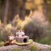 PLAY Forest Friends Chipmunks Proef het buitenleven met de PLAY Forest Friends Chipmunks. Deze schattige eekhoorns wachten met smart op nieuwe hondenvriendjes. Dit interactieve hondenspeeltje in de vorm van een boomstam en 2 lieve chipmunks staat garant voor veel avontuur! Verstop de eekhoorns in de boomstam en laat jouw hond zijn harige vriendjes eruit snuffelen.  Let op: Er is geen enkel hondenspeelgoed in de wereld wat niet kapot kan. Ondanks de dubbele stiksels, dubbele laag stof aan de buitenkant en de algehele stevigheid van het speelgoed, zou het kapot kunnen gaan. Op hondenspeelgoed zit geen garantie.Kies dus het juiste soort speeltje voor jouw hond zijn kauw- en speelbehoefte. Haal kapotte speeltjes meteen weg en laat jouw hond alleen spelen onder toezicht. Over P.L.A.Y. Hondenspeelgoed PLAY staat bekend om hun fantastische design en vrolijke, aansprekende kleuren. Bij A Lot for Doodles vind je een ruim assortiment van PLAY hondenspeelgoed. Shop naast de Barking Brunch collectie ook de Tropical Paradise Collectie van PLAY in onze shop! PLAY Dog Toys Het hondenspeelgoed van P.L.A.Y. is handgemaakt en de stevige buitenkant en dubbel gestikte randen zorgen voor extra duurzaamheid. De vulling van de speeltjes is gemaakt van gerecycled materiaal. Verder voldoet het hondenspeelgoed van Play aan dezelfde strenge kwaliteitsnormen voor het vervaardigen van baby- en kinderspeelgoed. In de speeltjes worden er AZO-vrije kleurstoffen gebruikt. Daarnaast zijn de speeltjes geschikt voor de wasmachine en droger. P.L.A.Y. hondenspeelgoed Het hondenspeelgoed van PLAY wordt in Amerika ontworpen. Bekend van Instagram Als jij honden volgt via Instagram, dan kan het niet missen dat je de P.L.A.Y. hondenspeeltjes wel eens voorbij hebt zien komen. Niet zo gek want de grappige en levensechte speeltjes zijn perfect voor een geweldige foto samen met jouw hond. Vergeet je A Lot for Doodles niet te taggen op Instagram? PLAY hondenspeeltjes bij A Lot for Doodles Bestel je Play hondenspeelgoed eenvoudig bij A Lot for Doodles. Of je nu een lief en schattig knuffeltje zoekt of een grappige, ondeugende speelkameraad voor je hond, je slaagt zeker weten met het ruime assortiment wat uit voorraad leverbaar is. Heb je vragen over onze producten of advies nodig wat je het beste kunt bestellen? Neem gerust contact met ons op, we helpen je graag verder.