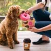 PLAY Pup Cup Cafe Doughboy Donut Take a break met de PLAY Pup Cup Cafe Doughboy Donut. Dit leuke hondenspeeltje in de vorm van een Donut to go mag niet ontbreken in de speelgoed collectie van jouw hond. Want zeg nou eerlijk; een heerlijke verse donut, daar kan je toch elke hond voor wakker maken?! Let op: Er is geen enkel hondenspeelgoed in de wereld wat niet kapot kan. Ondanks de dubbele stiksels, dubbele laag stof aan de buitenkant en de algehele stevigheid van het speelgoed, zou het kapot kunnen gaan. Op hondenspeelgoed zit geen garantie.Kies dus het juiste soort speeltje voor jouw hond zijn kauw- en speelbehoefte. Haal kapotte speeltjes meteen weg en laat jouw hond alleen spelen onder toezicht. Over P.L.A.Y. Hondenspeelgoed PLAY staat bekend om hun fantastische design en vrolijke, aansprekende kleuren. Bij A Lot for Doodles vind je een ruim assortiment van PLAY hondenspeelgoed. Shop naast de Barking Brunch collectie ook de Tropical Paradise Collectie van PLAY in onze shop! PLAY Dog Toys Het hondenspeelgoed van P.L.A.Y. is handgemaakt en de stevige buitenkant en dubbel gestikte randen zorgen voor extra duurzaamheid. De vulling van de speeltjes is gemaakt van gerecycled materiaal. Verder voldoet het hondenspeelgoed van Play aan dezelfde strenge kwaliteitsnormen voor het vervaardigen van baby- en kinderspeelgoed. In de speeltjes worden er AZO-vrije kleurstoffen gebruikt. Daarnaast zijn de speeltjes geschikt voor de wasmachine en droger. P.L.A.Y. hondenspeelgoed Het hondenspeelgoed van PLAY wordt in Amerika ontworpen. Bekend van Instagram Als jij honden volgt via Instagram, dan kan het niet missen dat je de P.L.A.Y. hondenspeeltjes wel eens voorbij hebt zien komen. Niet zo gek want de grappige en levensechte speeltjes zijn perfect voor een geweldige foto samen met jouw hond. Vergeet je A Lot for Doodles niet te taggen op Instagram? PLAY hondenspeeltjes bij A Lot for Doodles Bestel je Play hondenspeelgoed eenvoudig bij A Lot for Doodles. Of je nu een lief en schattig knuffeltje zoekt of een grappige, ondeugende speelkameraad voor je hond, je slaagt zeker weten met het ruime assortiment wat uit voorraad leverbaar is. Heb je vragen over onze producten of advies nodig wat je het beste kunt bestellen? Neem gerust contact met ons op, we helpen je graag verder.