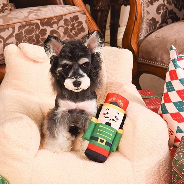 HugSmart Happy Woofmas Nutcracker Kom in de kerstsferen met de HugSmart Happy Woofmas Nutcracker. Het is immers nooit te vroeg of te laat voor kerst! Haal wat extra kerst in huis dit jaar want jouw hond gaat deze notenkraker helemaal geweldig vinden!  Formaat HugSmart Happy Woofmas Nutcracker: 11,5 x 6,5 x 23 cm Let op: Er is geen enkel hondenspeelgoed in de wereld wat niet kapot kan. Ondanks de algehele stevigheid van het speelgoed, zou het kapot kunnen gaan. Op hondenspeelgoed zit geen garantie. Kies dus het juiste soort speeltje voor jouw hond zijn kauw- en speelbehoefte. Haal kapotte speeltjes meteen weg en laat jouw hond alleen spelen onder toezicht. Over HugSmart Hondenspeelgoed HugSmart begint in 1985 als een familiebedrijf dat bedreven is in het ontwerpen en vervaardigen van kinderspeelgoed. Naarmate het gezin groeide, groeide ook het bedrijf, samen met de liefde voor hun huisdieren, aangezien ze een groot deel van hun gezin uitmaken. Inmiddels zijn ze bij HugSmart bedreven om het beste speelgoed te maken voor alle huisdieren die er zijn. Koop Interactief Hondenspeelgoed HugSmart staat bekend om hun grote collectie in interactief speelgoed voor honden. Alle honden hebben speelgoed nodig. Honden spelen natuurlijk graag met een bal en een touw, maar we vergeten wel eens hoe belangrijk de mentale gezondheid is van een hond. Om jouw hond voldoende mentale uitdaging te bieden kun je gebruik maken van interactief hondenspeelgoed. In feite is interactief hondenspeelgoed niet alleen belangrijk om je hond tevreden te houden en verveling te voorkomen. Het is ook nuttig om problematisch gedrag aan te pakken, zoals destructief kauwen of hinderlijk blaffen. Bij A Lot for Doodles vind je een groot assortiment aan interactief hondenspeelgoed. HugSmart dogtoys Nederland Bij hugSmart maken speelgoed voor huisdieren - van hoge kwaliteit en veilig met dezelfde hoge normen die gelden voor het maken van speelgoed voor mensen. Ze ontwerpen schattig, innovatief en modieus speelgoed om tegemoet te komen aan de levensstijl van de huisdier ouders van vandaag. Ze leveren het WOW effect en verspreiden geluk onder huisdier gezinnen over de hele wereld. Bekend van Instagram Als jij honden volgt via Instagram, dan kan het niet missen dat je de HugSmart hondenspeeltjes wel eens voorbij hebt zien komen. Niet zo gek want de grappige speeltjes zijn perfect voor een geweldige foto samen met jouw hond. Vergeet je A Lot for Doodles niet te taggen op Instagram? Bestel HugSmart hondenspeeltjes bij A Lot for Doodles Bestel je interactieve hondenspeelgoed eenvoudig bij A Lot for Doodles. Of je nu een lief en schattig knuffeltje zoekt of een grappige, ondeugende speelkameraad voor je hond, je slaagt zeker weten met het ruime assortiment wat uit voorraad leverbaar is. Heb je vragen over onze producten of advies nodig wat je het beste kunt bestellen? Neem gerust contact met ons op, we helpen je graag verder!