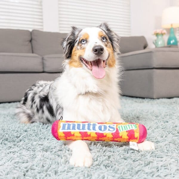 Huxley & Kent Lulubelles Power Plush Muttos Wil jij jouw hond ook laten genieten van een heerlijke mentos-rol maar eet je liever die hele rol alleen op? Shop dan de Huxley & Kent Lulubelles Power Plush Muttos - het speeltje waar elke hond over blaft! Bij deze speelse knuffel draait alles om pluis en plezier, en zorgt ervoor dat de staart van jouw hond blijft kwispelen. Perfect om te apporteren, te knuffelen of gewoon voor een leuke foto ;) De Muttos is voorzien van een extra laag duurzame Mesh stof, wat zorgt voor extra stevigheid. Dit hondenspeeltje bevat een pieper en kan zowel in de wasmachine als droger.  Over Huxley & Kent Huxley & Kent heeft als doel om leuke, modieuze en functionele huisdierproducten te ontwikkelen die uniek zijn voor de branche. Sommige van hun producten lossen problemen op of voorzien in een behoefte, en andere zijn gewoon leuk! Ze houden van wat ze doen en de vreugde die het mensen en hun huisdieren geeft. Hondenspeelgoed Huxley & Kent Huxley & Kent biedt een breed assortiment leuk en duurzaam hondenspeelgoed dat tegemoet komt aan verschillende speelstijlen en voorkeuren. Hun speelgoed staat bekend om hun kwaliteit en duurzaamheid, vaak voorzien van extra lagen duurzaam gaas om ruig spel te weerstaan. Huxley & Kent legt ook de nadruk op veiligheid en functionaliteit in hun ontwerpen, en zorgt ervoor dat hun speelgoed niet alleen vermakelijk is, maar ook veilig voor huisdieren Huxley & Kent Pinwheels en Bow Tie's Huxley & Kent maakt naast hun hondenspeelgoed ook bandana's, strikjes en pinwheels voor honden. Een geweldige accessoire voor aan de halsband van jouw hond. Bij A Lot for Doodles vind je een mooie selectie aan pinwheels, strikjes en Bandana's voor honden. Bekend van Instagram Als jij honden volgt via Instagram, dan kan het niet missen dat je wel eens de mooiste bandana's, strikjes en pinwheels voorbij hebt zien komen. Niet zo gek want de bandana's & strikjes zijn perfect voor een geweldige foto van jouw hond. Vergeet je A Lot for Doodles niet te taggen op Instagram? Bestel Bandana's en strikjes voor honden bij A Lot for Doodles Bestel je bandana's en strikjes voor jouw hond eenvoudig bij A Lot for Doodles. Of je nu een burberry design strik zoekt of een vrolijke bandana, met ons ruime assortiment wat uit voorraad leverbaar is zit er altijd een passende bandana of strik tussen. Ook voor het leukste (interactieve) hondenspeelgoed, shampoo's voor honden en lekkere hondensnacks kun je bij ons terecht. Heb je vragen over onze producten of advies nodig wat je het beste kunt bestellen? Neem gerust contact met ons op, we helpen je graag verder.