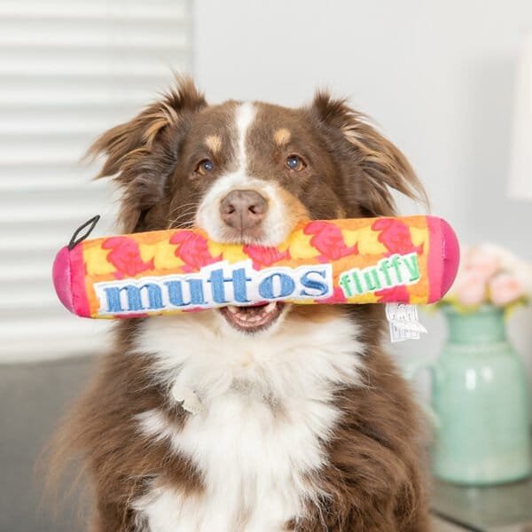 Huxley & Kent Lulubelles Power Plush Muttos Wil jij jouw hond ook laten genieten van een heerlijke mentos-rol maar eet je liever die hele rol alleen op? Shop dan de Huxley & Kent Lulubelles Power Plush Muttos - het speeltje waar elke hond over blaft! Bij deze speelse knuffel draait alles om pluis en plezier, en zorgt ervoor dat de staart van jouw hond blijft kwispelen. Perfect om te apporteren, te knuffelen of gewoon voor een leuke foto ;) De Muttos is voorzien van een extra laag duurzame Mesh stof, wat zorgt voor extra stevigheid. Dit hondenspeeltje bevat een pieper en kan zowel in de wasmachine als droger.  Over Huxley & Kent Huxley & Kent heeft als doel om leuke, modieuze en functionele huisdierproducten te ontwikkelen die uniek zijn voor de branche. Sommige van hun producten lossen problemen op of voorzien in een behoefte, en andere zijn gewoon leuk! Ze houden van wat ze doen en de vreugde die het mensen en hun huisdieren geeft. Hondenspeelgoed Huxley & Kent Huxley & Kent biedt een breed assortiment leuk en duurzaam hondenspeelgoed dat tegemoet komt aan verschillende speelstijlen en voorkeuren. Hun speelgoed staat bekend om hun kwaliteit en duurzaamheid, vaak voorzien van extra lagen duurzaam gaas om ruig spel te weerstaan. Huxley & Kent legt ook de nadruk op veiligheid en functionaliteit in hun ontwerpen, en zorgt ervoor dat hun speelgoed niet alleen vermakelijk is, maar ook veilig voor huisdieren Huxley & Kent Pinwheels en Bow Tie's Huxley & Kent maakt naast hun hondenspeelgoed ook bandana's, strikjes en pinwheels voor honden. Een geweldige accessoire voor aan de halsband van jouw hond. Bij A Lot for Doodles vind je een mooie selectie aan pinwheels, strikjes en Bandana's voor honden. Bekend van Instagram Als jij honden volgt via Instagram, dan kan het niet missen dat je wel eens de mooiste bandana's, strikjes en pinwheels voorbij hebt zien komen. Niet zo gek want de bandana's & strikjes zijn perfect voor een geweldige foto van jouw hond. Vergeet je A Lot for Doodles niet te taggen op Instagram? Bestel Bandana's en strikjes voor honden bij A Lot for Doodles Bestel je bandana's en strikjes voor jouw hond eenvoudig bij A Lot for Doodles. Of je nu een burberry design strik zoekt of een vrolijke bandana, met ons ruime assortiment wat uit voorraad leverbaar is zit er altijd een passende bandana of strik tussen. Ook voor het leukste (interactieve) hondenspeelgoed, shampoo's voor honden en lekkere hondensnacks kun je bij ons terecht. Heb je vragen over onze producten of advies nodig wat je het beste kunt bestellen? Neem gerust contact met ons op, we helpen je graag verder.