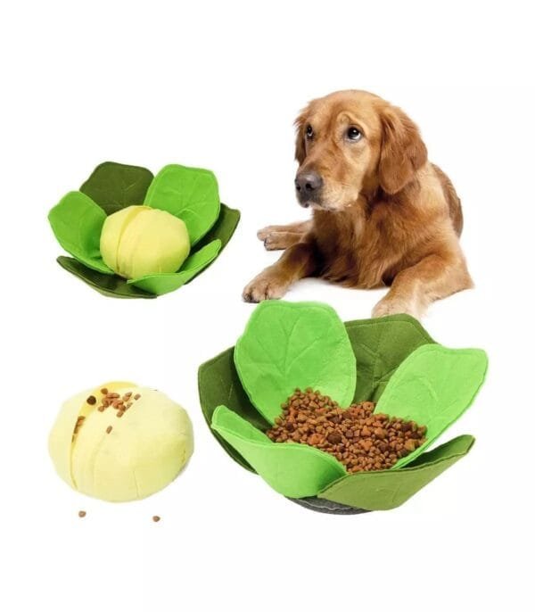 Injoya Cabbage snuffelspeelgoed voor de hond Maximaal speel- en snuffelplezier met deze snuffel kool! De Injoya Cabbage Feeder Toy is niet alleen een super leuk hondenspeeltje, maar stimuleert ook nog eens de hersenen en zintuigen van jouw hond! Tussen de bladeren van deze kool zijn er verschillende verstopplekken voor snoepjes. Jouw hond kan dus maximaal spelen, snuffelen, zoeken en snoepen. De Injoya Cabbage snuffelspeelgoed gaat verveling tegen en zet jouw hond mentaal aan het werk. Honden willen het liefste werken voor hun voer. Een goede manier om dat te doen is door brokjes te verstoppen in een snuffelspeeltje. Op die manier eten ze ook automatisch langzamer, wat weer beter is voor de spijsvertering. Snuffelspeelgoed stimuleert de zintuigen en de hersenen van de hond. Daarnaast werkt snuffelen en zoeken naar brokjes ontspannend en geeft het jouw hond voldoening. Tip: verstop de heerlijke snacks van Carniwell in deze leuke koop, en snuffelen maar! Formaat Injoya Cabbage Feeder Toy: 32 x 32 x 11 cm. Gemaakt van vilt en pluche en geschikt voor honden van alle leeftijden. Machine wasbaar op 30 graden. Hoe te gebruiken: Verwijder alle verpakking voor het gebruik. Gebruik de Injoya Cabbage voor interactieve speeltijd. Is het klaar? Dan haal je speeltje weg en berg je deze op voor een volgende keer. Voorkom frustratie bij de hond tijdens het zoeken, je mag helpen als het niet lukt. Het speeltje is niet gemaakt om op te kauwen of aan te trekken. Niet onbeheerd in een bench of kamer achterlaten. Beschadigde of kapotte snuffelspeeltjes weghalen en vervangen. Injoya Hondenspeelgoed Maak kennis met Injoya, het merk dat staat voor kwaliteit, innovatie en eindeloos speelplezier voor uw hond! Injoya hondenspeelgoed is speciaal ontworpen om honden fysiek én mentaal te stimuleren. Van uitdagende snuffelmatten tot interactieve puzzelspeeltjes – elk product van Injoya is gemaakt met oog voor detail en gericht op het vervullen van de natuurlijke instincten van jouw hond. Mentale stimulatie voor honden De interactieve speeltjes van Injoya helpen honden mentaal scherp te blijven door ze uit te dagen en hun probleemoplossende vaardigheden te verbeteren. Het speelgoed is ontworpen om te voldoen aan het natuurlijke speur- en jaaginstinct van jouw hond, wat zorgt voor een voldaan en tevreden gevoel. Snuffelspeelgoed  Het speelgoed van Injoya biedt niet alleen fysiek vermaak, maar stimuleert ook de hersenen van uw hond. Interactieve speeltjes, zoals snuffelmatten en puzzels, dagen uw hond uit om te zoeken, te ruiken en oplossingen te vinden. Dit zorgt voor een voldane en tevreden hond. Natuurlijke Instincten Bevorderen Honden hebben van nature de behoefte om te snuffelen, jagen en problemen op te lossen. Het speelgoed van Injoya speelt perfect in op deze instincten. Zo help je jouw hond op een leuke manier zijn energie kwijt te raken en verveling te voorkomen. Snuffelmat voor honden De snuffelmatten van Injoya zijn ontworpen om de natuurlijke speurinstincten van honden te stimuleren en verveling tegen te gaan. Deze innovatieve matten bieden uw hond niet alleen eindeloos speelplezier, maar ook een waardevolle mentale uitdaging. Door snoepjes of brokjes in de mat te verstoppen, wordt jouw hond gestimuleerd om zijn neus en hersenen te gebruiken om het lekkers te vinden. Dit maakt snuffelmatten een ideaal hulpmiddel voor mentale stimulatie en gedragsverbetering. Populaire Injoya hondenspeelgoed bij A Lot for Doodles Bij A Lot for Doodles vind je een ruim assortiment aan hondenspeelgoed van Injoya. Bijvoorbeeld de Injoya snuffelmatten; ideaal voor het bevorderen van het zoekgedrag en mentale uitdaging. Injoya snuffelspeelgoed; voor honden die van een uitdaging houden en graag met hun pootjes of neus problemen oplossen. Carniwell Hondensnacks De speeltjes van Injoya zijn nog leuker als je er snacks in verstopt! Bij de leukste shop voor jouw hond vind je naast hondenspeelgoed ook overheerlijke natuurlijke snacks. Met het grote assortiment aan onweerstaanbare hypoallergene hondensnacks shop je alles voor een perfecte snuffel pawty! Hypoallergene hondensnacks Bij A Lot for Doodles vind je een ruim assortiment aan natuurlijke hypoallergene snacks van Carniwell. Met deze heerlijke hondensnacks krijg je alles gedaan! Ideaal voor bij de hondentraining of lekker als tussendoortje! De Carniwell snacks zijn een onweerstaanbare en natuurlijke beloning om je hond te motiveren. De snacks zijn graanvrij, er wordt niets aan toegevoegd en bevatten bovendien één eiwitbron. Hierdoor zijn de Carniwell snacks ook geschikt voor honden met allergieën, voedselintoleranties en voor honden die op dieet zijn. Bestel Carniwell snacks bij A Lot for Doodles Bestel je snuffelmatten en het snuffelspeelgoed van Injoya  eenvoudig bij A Lot for Doodles. Heb je vragen over onze producten of advies nodig wat je het beste kunt bestellen? Neem gerust contact met ons op, we helpen je graag verder.