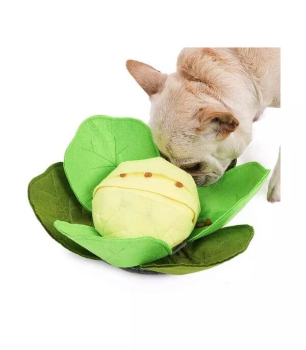 Injoya Cabbage snuffelspeelgoed voor de hond Maximaal speel- en snuffelplezier met deze snuffel kool! De Injoya Cabbage Feeder Toy is niet alleen een super leuk hondenspeeltje, maar stimuleert ook nog eens de hersenen en zintuigen van jouw hond! Tussen de bladeren van deze kool zijn er verschillende verstopplekken voor snoepjes. Jouw hond kan dus maximaal spelen, snuffelen, zoeken en snoepen. De Injoya Cabbage snuffelspeelgoed gaat verveling tegen en zet jouw hond mentaal aan het werk. Honden willen het liefste werken voor hun voer. Een goede manier om dat te doen is door brokjes te verstoppen in een snuffelspeeltje. Op die manier eten ze ook automatisch langzamer, wat weer beter is voor de spijsvertering. Snuffelspeelgoed stimuleert de zintuigen en de hersenen van de hond. Daarnaast werkt snuffelen en zoeken naar brokjes ontspannend en geeft het jouw hond voldoening. Tip: verstop de heerlijke snacks van Carniwell in deze leuke koop, en snuffelen maar! Formaat Injoya Cabbage Feeder Toy: 32 x 32 x 11 cm. Gemaakt van vilt en pluche en geschikt voor honden van alle leeftijden. Machine wasbaar op 30 graden. Hoe te gebruiken: Verwijder alle verpakking voor het gebruik. Gebruik de Injoya Cabbage voor interactieve speeltijd. Is het klaar? Dan haal je speeltje weg en berg je deze op voor een volgende keer. Voorkom frustratie bij de hond tijdens het zoeken, je mag helpen als het niet lukt. Het speeltje is niet gemaakt om op te kauwen of aan te trekken. Niet onbeheerd in een bench of kamer achterlaten. Beschadigde of kapotte snuffelspeeltjes weghalen en vervangen. Injoya Hondenspeelgoed Maak kennis met Injoya, het merk dat staat voor kwaliteit, innovatie en eindeloos speelplezier voor uw hond! Injoya hondenspeelgoed is speciaal ontworpen om honden fysiek én mentaal te stimuleren. Van uitdagende snuffelmatten tot interactieve puzzelspeeltjes – elk product van Injoya is gemaakt met oog voor detail en gericht op het vervullen van de natuurlijke instincten van jouw hond. Mentale stimulatie voor honden De interactieve speeltjes van Injoya helpen honden mentaal scherp te blijven door ze uit te dagen en hun probleemoplossende vaardigheden te verbeteren. Het speelgoed is ontworpen om te voldoen aan het natuurlijke speur- en jaaginstinct van jouw hond, wat zorgt voor een voldaan en tevreden gevoel. Snuffelspeelgoed  Het speelgoed van Injoya biedt niet alleen fysiek vermaak, maar stimuleert ook de hersenen van uw hond. Interactieve speeltjes, zoals snuffelmatten en puzzels, dagen uw hond uit om te zoeken, te ruiken en oplossingen te vinden. Dit zorgt voor een voldane en tevreden hond. Natuurlijke Instincten Bevorderen Honden hebben van nature de behoefte om te snuffelen, jagen en problemen op te lossen. Het speelgoed van Injoya speelt perfect in op deze instincten. Zo help je jouw hond op een leuke manier zijn energie kwijt te raken en verveling te voorkomen. Snuffelmat voor honden De snuffelmatten van Injoya zijn ontworpen om de natuurlijke speurinstincten van honden te stimuleren en verveling tegen te gaan. Deze innovatieve matten bieden uw hond niet alleen eindeloos speelplezier, maar ook een waardevolle mentale uitdaging. Door snoepjes of brokjes in de mat te verstoppen, wordt jouw hond gestimuleerd om zijn neus en hersenen te gebruiken om het lekkers te vinden. Dit maakt snuffelmatten een ideaal hulpmiddel voor mentale stimulatie en gedragsverbetering. Populaire Injoya hondenspeelgoed bij A Lot for Doodles Bij A Lot for Doodles vind je een ruim assortiment aan hondenspeelgoed van Injoya. Bijvoorbeeld de Injoya snuffelmatten; ideaal voor het bevorderen van het zoekgedrag en mentale uitdaging. Injoya snuffelspeelgoed; voor honden die van een uitdaging houden en graag met hun pootjes of neus problemen oplossen. Carniwell Hondensnacks De speeltjes van Injoya zijn nog leuker als je er snacks in verstopt! Bij de leukste shop voor jouw hond vind je naast hondenspeelgoed ook overheerlijke natuurlijke snacks. Met het grote assortiment aan onweerstaanbare hypoallergene hondensnacks shop je alles voor een perfecte snuffel pawty! Hypoallergene hondensnacks Bij A Lot for Doodles vind je een ruim assortiment aan natuurlijke hypoallergene snacks van Carniwell. Met deze heerlijke hondensnacks krijg je alles gedaan! Ideaal voor bij de hondentraining of lekker als tussendoortje! De Carniwell snacks zijn een onweerstaanbare en natuurlijke beloning om je hond te motiveren. De snacks zijn graanvrij, er wordt niets aan toegevoegd en bevatten bovendien één eiwitbron. Hierdoor zijn de Carniwell snacks ook geschikt voor honden met allergieën, voedselintoleranties en voor honden die op dieet zijn. Bestel Carniwell snacks bij A Lot for Doodles Bestel je snuffelmatten en het snuffelspeelgoed van Injoya  eenvoudig bij A Lot for Doodles. Heb je vragen over onze producten of advies nodig wat je het beste kunt bestellen? Neem gerust contact met ons op, we helpen je graag verder.