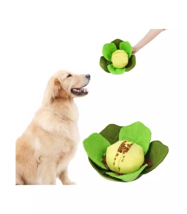 Injoya Cabbage snuffelspeelgoed voor de hond Maximaal speel- en snuffelplezier met deze snuffel kool! De Injoya Cabbage Feeder Toy is niet alleen een super leuk hondenspeeltje, maar stimuleert ook nog eens de hersenen en zintuigen van jouw hond! Tussen de bladeren van deze kool zijn er verschillende verstopplekken voor snoepjes. Jouw hond kan dus maximaal spelen, snuffelen, zoeken en snoepen. De Injoya Cabbage snuffelspeelgoed gaat verveling tegen en zet jouw hond mentaal aan het werk. Honden willen het liefste werken voor hun voer. Een goede manier om dat te doen is door brokjes te verstoppen in een snuffelspeeltje. Op die manier eten ze ook automatisch langzamer, wat weer beter is voor de spijsvertering. Snuffelspeelgoed stimuleert de zintuigen en de hersenen van de hond. Daarnaast werkt snuffelen en zoeken naar brokjes ontspannend en geeft het jouw hond voldoening. Tip: verstop de heerlijke snacks van Carniwell in deze leuke koop, en snuffelen maar! Formaat Injoya Cabbage Feeder Toy: 32 x 32 x 11 cm. Gemaakt van vilt en pluche en geschikt voor honden van alle leeftijden. Machine wasbaar op 30 graden. Hoe te gebruiken: Verwijder alle verpakking voor het gebruik. Gebruik de Injoya Cabbage voor interactieve speeltijd. Is het klaar? Dan haal je speeltje weg en berg je deze op voor een volgende keer. Voorkom frustratie bij de hond tijdens het zoeken, je mag helpen als het niet lukt. Het speeltje is niet gemaakt om op te kauwen of aan te trekken. Niet onbeheerd in een bench of kamer achterlaten. Beschadigde of kapotte snuffelspeeltjes weghalen en vervangen. Injoya Hondenspeelgoed Maak kennis met Injoya, het merk dat staat voor kwaliteit, innovatie en eindeloos speelplezier voor uw hond! Injoya hondenspeelgoed is speciaal ontworpen om honden fysiek én mentaal te stimuleren. Van uitdagende snuffelmatten tot interactieve puzzelspeeltjes – elk product van Injoya is gemaakt met oog voor detail en gericht op het vervullen van de natuurlijke instincten van jouw hond. Mentale stimulatie voor honden De interactieve speeltjes van Injoya helpen honden mentaal scherp te blijven door ze uit te dagen en hun probleemoplossende vaardigheden te verbeteren. Het speelgoed is ontworpen om te voldoen aan het natuurlijke speur- en jaaginstinct van jouw hond, wat zorgt voor een voldaan en tevreden gevoel. Snuffelspeelgoed  Het speelgoed van Injoya biedt niet alleen fysiek vermaak, maar stimuleert ook de hersenen van uw hond. Interactieve speeltjes, zoals snuffelmatten en puzzels, dagen uw hond uit om te zoeken, te ruiken en oplossingen te vinden. Dit zorgt voor een voldane en tevreden hond. Natuurlijke Instincten Bevorderen Honden hebben van nature de behoefte om te snuffelen, jagen en problemen op te lossen. Het speelgoed van Injoya speelt perfect in op deze instincten. Zo help je jouw hond op een leuke manier zijn energie kwijt te raken en verveling te voorkomen. Snuffelmat voor honden De snuffelmatten van Injoya zijn ontworpen om de natuurlijke speurinstincten van honden te stimuleren en verveling tegen te gaan. Deze innovatieve matten bieden uw hond niet alleen eindeloos speelplezier, maar ook een waardevolle mentale uitdaging. Door snoepjes of brokjes in de mat te verstoppen, wordt jouw hond gestimuleerd om zijn neus en hersenen te gebruiken om het lekkers te vinden. Dit maakt snuffelmatten een ideaal hulpmiddel voor mentale stimulatie en gedragsverbetering. Populaire Injoya hondenspeelgoed bij A Lot for Doodles Bij A Lot for Doodles vind je een ruim assortiment aan hondenspeelgoed van Injoya. Bijvoorbeeld de Injoya snuffelmatten; ideaal voor het bevorderen van het zoekgedrag en mentale uitdaging. Injoya snuffelspeelgoed; voor honden die van een uitdaging houden en graag met hun pootjes of neus problemen oplossen. Carniwell Hondensnacks De speeltjes van Injoya zijn nog leuker als je er snacks in verstopt! Bij de leukste shop voor jouw hond vind je naast hondenspeelgoed ook overheerlijke natuurlijke snacks. Met het grote assortiment aan onweerstaanbare hypoallergene hondensnacks shop je alles voor een perfecte snuffel pawty! Hypoallergene hondensnacks Bij A Lot for Doodles vind je een ruim assortiment aan natuurlijke hypoallergene snacks van Carniwell. Met deze heerlijke hondensnacks krijg je alles gedaan! Ideaal voor bij de hondentraining of lekker als tussendoortje! De Carniwell snacks zijn een onweerstaanbare en natuurlijke beloning om je hond te motiveren. De snacks zijn graanvrij, er wordt niets aan toegevoegd en bevatten bovendien één eiwitbron. Hierdoor zijn de Carniwell snacks ook geschikt voor honden met allergieën, voedselintoleranties en voor honden die op dieet zijn. Bestel Carniwell snacks bij A Lot for Doodles Bestel je snuffelmatten en het snuffelspeelgoed van Injoya  eenvoudig bij A Lot for Doodles. Heb je vragen over onze producten of advies nodig wat je het beste kunt bestellen? Neem gerust contact met ons op, we helpen je graag verder.