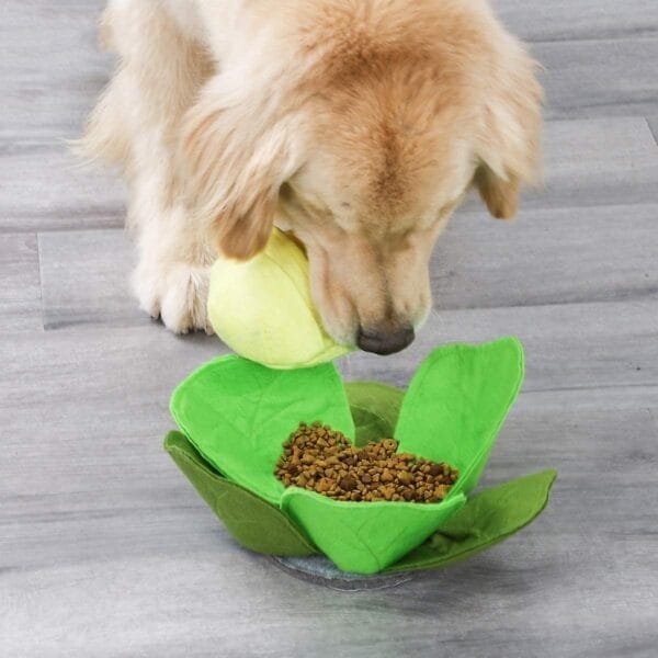 Injoya Cabbage snuffelspeelgoed voor de hond Maximaal speel- en snuffelplezier met deze snuffel kool! De Injoya Cabbage Feeder Toy is niet alleen een super leuk hondenspeeltje, maar stimuleert ook nog eens de hersenen en zintuigen van jouw hond! Tussen de bladeren van deze kool zijn er verschillende verstopplekken voor snoepjes. Jouw hond kan dus maximaal spelen, snuffelen, zoeken en snoepen. De Injoya Cabbage snuffelspeelgoed gaat verveling tegen en zet jouw hond mentaal aan het werk. Honden willen het liefste werken voor hun voer. Een goede manier om dat te doen is door brokjes te verstoppen in een snuffelspeeltje. Op die manier eten ze ook automatisch langzamer, wat weer beter is voor de spijsvertering. Snuffelspeelgoed stimuleert de zintuigen en de hersenen van de hond. Daarnaast werkt snuffelen en zoeken naar brokjes ontspannend en geeft het jouw hond voldoening. Tip: verstop de heerlijke snacks van Carniwell in deze leuke koop, en snuffelen maar! Formaat Injoya Cabbage Feeder Toy: 32 x 32 x 11 cm. Gemaakt van vilt en pluche en geschikt voor honden van alle leeftijden. Machine wasbaar op 30 graden. Hoe te gebruiken: Verwijder alle verpakking voor het gebruik. Gebruik de Injoya Cabbage voor interactieve speeltijd. Is het klaar? Dan haal je speeltje weg en berg je deze op voor een volgende keer. Voorkom frustratie bij de hond tijdens het zoeken, je mag helpen als het niet lukt. Het speeltje is niet gemaakt om op te kauwen of aan te trekken. Niet onbeheerd in een bench of kamer achterlaten. Beschadigde of kapotte snuffelspeeltjes weghalen en vervangen. Injoya Hondenspeelgoed Maak kennis met Injoya, het merk dat staat voor kwaliteit, innovatie en eindeloos speelplezier voor uw hond! Injoya hondenspeelgoed is speciaal ontworpen om honden fysiek én mentaal te stimuleren. Van uitdagende snuffelmatten tot interactieve puzzelspeeltjes – elk product van Injoya is gemaakt met oog voor detail en gericht op het vervullen van de natuurlijke instincten van jouw hond. Mentale stimulatie voor honden De interactieve speeltjes van Injoya helpen honden mentaal scherp te blijven door ze uit te dagen en hun probleemoplossende vaardigheden te verbeteren. Het speelgoed is ontworpen om te voldoen aan het natuurlijke speur- en jaaginstinct van jouw hond, wat zorgt voor een voldaan en tevreden gevoel. Snuffelspeelgoed  Het speelgoed van Injoya biedt niet alleen fysiek vermaak, maar stimuleert ook de hersenen van uw hond. Interactieve speeltjes, zoals snuffelmatten en puzzels, dagen uw hond uit om te zoeken, te ruiken en oplossingen te vinden. Dit zorgt voor een voldane en tevreden hond. Natuurlijke Instincten Bevorderen Honden hebben van nature de behoefte om te snuffelen, jagen en problemen op te lossen. Het speelgoed van Injoya speelt perfect in op deze instincten. Zo help je jouw hond op een leuke manier zijn energie kwijt te raken en verveling te voorkomen. Snuffelmat voor honden De snuffelmatten van Injoya zijn ontworpen om de natuurlijke speurinstincten van honden te stimuleren en verveling tegen te gaan. Deze innovatieve matten bieden uw hond niet alleen eindeloos speelplezier, maar ook een waardevolle mentale uitdaging. Door snoepjes of brokjes in de mat te verstoppen, wordt jouw hond gestimuleerd om zijn neus en hersenen te gebruiken om het lekkers te vinden. Dit maakt snuffelmatten een ideaal hulpmiddel voor mentale stimulatie en gedragsverbetering. Populaire Injoya hondenspeelgoed bij A Lot for Doodles Bij A Lot for Doodles vind je een ruim assortiment aan hondenspeelgoed van Injoya. Bijvoorbeeld de Injoya snuffelmatten; ideaal voor het bevorderen van het zoekgedrag en mentale uitdaging. Injoya snuffelspeelgoed; voor honden die van een uitdaging houden en graag met hun pootjes of neus problemen oplossen. Carniwell Hondensnacks De speeltjes van Injoya zijn nog leuker als je er snacks in verstopt! Bij de leukste shop voor jouw hond vind je naast hondenspeelgoed ook overheerlijke natuurlijke snacks. Met het grote assortiment aan onweerstaanbare hypoallergene hondensnacks shop je alles voor een perfecte snuffel pawty! Hypoallergene hondensnacks Bij A Lot for Doodles vind je een ruim assortiment aan natuurlijke hypoallergene snacks van Carniwell. Met deze heerlijke hondensnacks krijg je alles gedaan! Ideaal voor bij de hondentraining of lekker als tussendoortje! De Carniwell snacks zijn een onweerstaanbare en natuurlijke beloning om je hond te motiveren. De snacks zijn graanvrij, er wordt niets aan toegevoegd en bevatten bovendien één eiwitbron. Hierdoor zijn de Carniwell snacks ook geschikt voor honden met allergieën, voedselintoleranties en voor honden die op dieet zijn. Bestel Carniwell snacks bij A Lot for Doodles Bestel je snuffelmatten en het snuffelspeelgoed van Injoya  eenvoudig bij A Lot for Doodles. Heb je vragen over onze producten of advies nodig wat je het beste kunt bestellen? Neem gerust contact met ons op, we helpen je graag verder.