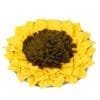 Injoya Sunflower honden snuffelmat Stimuleert de hersenen en zintuigen van jouw hond met deze avocado snuffelmat! De Injoya Sunflower Snuffle Mat is een grote vrolijke snuffelmat, in de vorm van een zonnebloem, waarin je snoepjes kunt verstoppen. Verstop de snoepjes of brokjes tussen de stroken van de mat en jouw hond kan gaan snuffelen. Deze mat zit boordevol met verstopplekken, kortom; een spannende en uitdagende snuffelmat. Honden willen het liefste werken voor hun voer. Een goede manier om dat te doen is door brokjes te verstoppen in een snuffelspeeltje. Op die manier eten ze ook automatisch langzamer, wat weer beter is voor de spijsvertering. Door de grote maat is dit snuffelkleed geschikt voor alle honden, van klein tot groot. Snuffelen en zoeken naar voer is voor honden een ontspannende bezigheid. Ze kunnen zich focussen op 1 taak; snacks zoeken. Het snuffelen en werken voor voer is voor honden natuurlijk gedrag. Na het snuffelen zijn ze voldaan en ontspannen. Tijd voor een pawernap ;)  Tip: verstop de heerlijke snacks van Carniwell in deze leuke snuffelmat, en snuffelen maar! Formaat Injoya Sunflower Snuffle Mat: 48 x 48 x 3 cm. Geschikt voor honden van alle leeftijden. Machine wasbaar op 30 graden. Hoe te gebruiken: Verwijder alle verpakking voor het gebruik. Gebruik de Injoya Sunflower Snuffle Mat voor interactieve speeltijd. Met snuffelspeeltjes speel je samen met jouw hond. Jij verstopt de snacks in het snuffelkleed, jouw hond gaat op zoek en jij helpt waar nodig. Laat jouw hond niet gefrustreerd raken en laat jouw hond op kalme wijze zoeken naar de snackies. Haal het kleed na iedere snuffelsessie weg en berg je het op voor de volgende keer. Het speeltje is niet gemaakt om op te kauwen of aan te trekken. Niet onbeheerd in een bench of kamer achterlaten. Beschadigde of kapotte snuffelspeeltjes weghalen en vervangen. Injoya Hondenspeelgoed Maak kennis met Injoya, het merk dat staat voor kwaliteit, innovatie en eindeloos speelplezier voor uw hond! Injoya hondenspeelgoed is speciaal ontworpen om honden fysiek én mentaal te stimuleren. Van uitdagende snuffelmatten tot interactieve puzzelspeeltjes – elk product van Injoya is gemaakt met oog voor detail en gericht op het vervullen van de natuurlijke instincten van jouw hond. Mentale stimulatie voor honden De interactieve speeltjes van Injoya helpen honden mentaal scherp te blijven door ze uit te dagen en hun probleemoplossende vaardigheden te verbeteren. Het speelgoed is ontworpen om te voldoen aan het natuurlijke speur- en jaaginstinct van jouw hond, wat zorgt voor een voldaan en tevreden gevoel. Snuffelspeelgoed  Het speelgoed van Injoya biedt niet alleen fysiek vermaak, maar stimuleert ook de hersenen van uw hond. Interactieve speeltjes, zoals snuffelmatten en puzzels, dagen uw hond uit om te zoeken, te ruiken en oplossingen te vinden. Dit zorgt voor een voldane en tevreden hond. Natuurlijke Instincten Bevorderen Honden hebben van nature de behoefte om te snuffelen, jagen en problemen op te lossen. Het speelgoed van Injoya speelt perfect in op deze instincten. Zo help je jouw hond op een leuke manier zijn energie kwijt te raken en verveling te voorkomen. Snuffelmat voor honden De snuffelmatten van Injoya zijn ontworpen om de natuurlijke speurinstincten van honden te stimuleren en verveling tegen te gaan. Deze innovatieve matten bieden uw hond niet alleen eindeloos speelplezier, maar ook een waardevolle mentale uitdaging. Door snoepjes of brokjes in de mat te verstoppen, wordt jouw hond gestimuleerd om zijn neus en hersenen te gebruiken om het lekkers te vinden. Dit maakt snuffelmatten een ideaal hulpmiddel voor mentale stimulatie en gedragsverbetering. Populaire Injoya hondenspeelgoed bij A Lot for Doodles Bij A Lot for Doodles vind je een ruim assortiment aan hondenspeelgoed van Injoya. Bijvoorbeeld de Injoya snuffelmatten; ideaal voor het bevorderen van het zoekgedrag en mentale uitdaging. Injoya snuffelspeelgoed; voor honden die van een uitdaging houden en graag met hun pootjes of neus problemen oplossen.De speeltjes van Injoya zijn nog leuker als je er snacks in verstopt! Bij de leukste shop voor jouw hond vind je naast hondenspeelgoed ook overheerlijke natuurlijke snacks. Met het grote assortiment aan onweerstaanbare hypoallergene hondensnacks shop je alles voor een perfecte snuffel pawty! Bestel Injoya honden snuffelspeelgoed bij A Lot for Doodles Bestel je snuffelmatten en het snuffelspeelgoed van Injoya  eenvoudig bij A Lot for Doodles. Heb je vragen over onze producten of advies nodig wat je het beste kunt bestellen? Neem gerust contact met ons op, we helpen je graag verder.