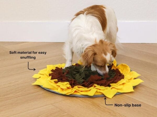 Injoya Sunflower honden snuffelmat Stimuleert de hersenen en zintuigen van jouw hond met deze avocado snuffelmat! De Injoya Sunflower Snuffle Mat is een grote vrolijke snuffelmat, in de vorm van een zonnebloem, waarin je snoepjes kunt verstoppen. Verstop de snoepjes of brokjes tussen de stroken van de mat en jouw hond kan gaan snuffelen. Deze mat zit boordevol met verstopplekken, kortom; een spannende en uitdagende snuffelmat. Honden willen het liefste werken voor hun voer. Een goede manier om dat te doen is door brokjes te verstoppen in een snuffelspeeltje. Op die manier eten ze ook automatisch langzamer, wat weer beter is voor de spijsvertering. Door de grote maat is dit snuffelkleed geschikt voor alle honden, van klein tot groot. Snuffelen en zoeken naar voer is voor honden een ontspannende bezigheid. Ze kunnen zich focussen op 1 taak; snacks zoeken. Het snuffelen en werken voor voer is voor honden natuurlijk gedrag. Na het snuffelen zijn ze voldaan en ontspannen. Tijd voor een pawernap ;)  Tip: verstop de heerlijke snacks van Carniwell in deze leuke snuffelmat, en snuffelen maar! Formaat Injoya Sunflower Snuffle Mat: 48 x 48 x 3 cm. Geschikt voor honden van alle leeftijden. Machine wasbaar op 30 graden. Hoe te gebruiken: Verwijder alle verpakking voor het gebruik. Gebruik de Injoya Sunflower Snuffle Mat voor interactieve speeltijd. Met snuffelspeeltjes speel je samen met jouw hond. Jij verstopt de snacks in het snuffelkleed, jouw hond gaat op zoek en jij helpt waar nodig. Laat jouw hond niet gefrustreerd raken en laat jouw hond op kalme wijze zoeken naar de snackies. Haal het kleed na iedere snuffelsessie weg en berg je het op voor de volgende keer. Het speeltje is niet gemaakt om op te kauwen of aan te trekken. Niet onbeheerd in een bench of kamer achterlaten. Beschadigde of kapotte snuffelspeeltjes weghalen en vervangen. Injoya Hondenspeelgoed Maak kennis met Injoya, het merk dat staat voor kwaliteit, innovatie en eindeloos speelplezier voor uw hond! Injoya hondenspeelgoed is speciaal ontworpen om honden fysiek én mentaal te stimuleren. Van uitdagende snuffelmatten tot interactieve puzzelspeeltjes – elk product van Injoya is gemaakt met oog voor detail en gericht op het vervullen van de natuurlijke instincten van jouw hond. Mentale stimulatie voor honden De interactieve speeltjes van Injoya helpen honden mentaal scherp te blijven door ze uit te dagen en hun probleemoplossende vaardigheden te verbeteren. Het speelgoed is ontworpen om te voldoen aan het natuurlijke speur- en jaaginstinct van jouw hond, wat zorgt voor een voldaan en tevreden gevoel. Snuffelspeelgoed  Het speelgoed van Injoya biedt niet alleen fysiek vermaak, maar stimuleert ook de hersenen van uw hond. Interactieve speeltjes, zoals snuffelmatten en puzzels, dagen uw hond uit om te zoeken, te ruiken en oplossingen te vinden. Dit zorgt voor een voldane en tevreden hond. Natuurlijke Instincten Bevorderen Honden hebben van nature de behoefte om te snuffelen, jagen en problemen op te lossen. Het speelgoed van Injoya speelt perfect in op deze instincten. Zo help je jouw hond op een leuke manier zijn energie kwijt te raken en verveling te voorkomen. Snuffelmat voor honden De snuffelmatten van Injoya zijn ontworpen om de natuurlijke speurinstincten van honden te stimuleren en verveling tegen te gaan. Deze innovatieve matten bieden uw hond niet alleen eindeloos speelplezier, maar ook een waardevolle mentale uitdaging. Door snoepjes of brokjes in de mat te verstoppen, wordt jouw hond gestimuleerd om zijn neus en hersenen te gebruiken om het lekkers te vinden. Dit maakt snuffelmatten een ideaal hulpmiddel voor mentale stimulatie en gedragsverbetering. Populaire Injoya hondenspeelgoed bij A Lot for Doodles Bij A Lot for Doodles vind je een ruim assortiment aan hondenspeelgoed van Injoya. Bijvoorbeeld de Injoya snuffelmatten; ideaal voor het bevorderen van het zoekgedrag en mentale uitdaging. Injoya snuffelspeelgoed; voor honden die van een uitdaging houden en graag met hun pootjes of neus problemen oplossen.De speeltjes van Injoya zijn nog leuker als je er snacks in verstopt! Bij de leukste shop voor jouw hond vind je naast hondenspeelgoed ook overheerlijke natuurlijke snacks. Met het grote assortiment aan onweerstaanbare hypoallergene hondensnacks shop je alles voor een perfecte snuffel pawty! Bestel Injoya honden snuffelspeelgoed bij A Lot for Doodles Bestel je snuffelmatten en het snuffelspeelgoed van Injoya  eenvoudig bij A Lot for Doodles. Heb je vragen over onze producten of advies nodig wat je het beste kunt bestellen? Neem gerust contact met ons op, we helpen je graag verder.